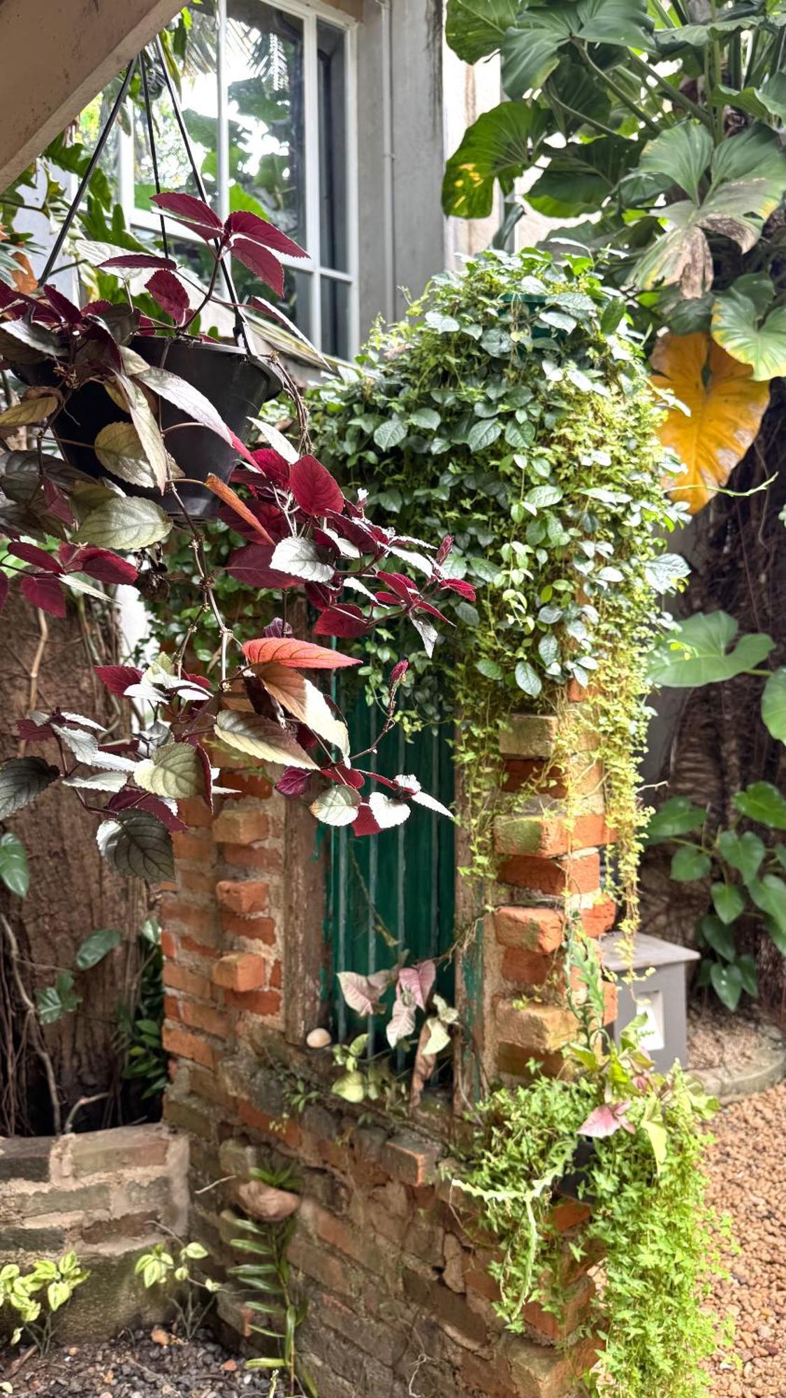 Gomez Place Νεγκόμπο Εξωτερικό φωτογραφία